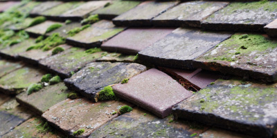 Whitefield roof repair costs